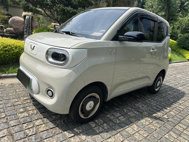 Wuling Hongguang MINIEV 2024 215km Youth Version Lithium Iron Phosphate