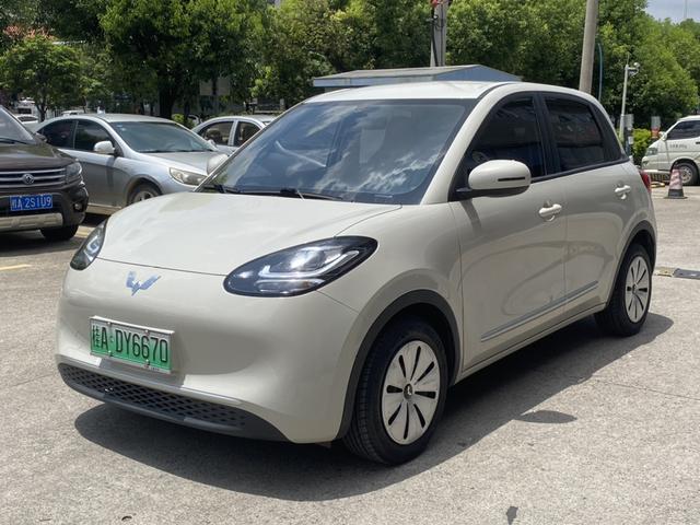Wuling Colorado 2023 203KM Light Enjoyment Model