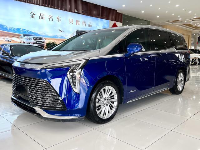 Century 2023 2.0T Six-Seat Embracing World Edition