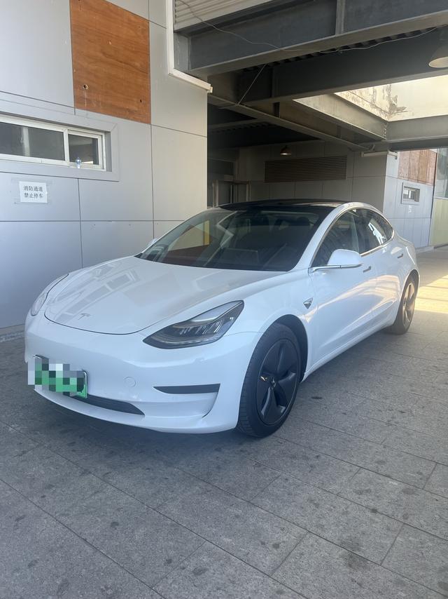 Model 3 (Import) 2019 Standard Range Rear Drive Upgrade