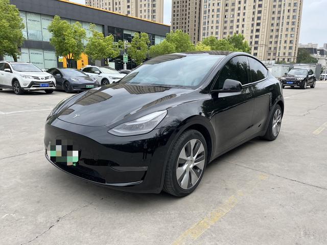 Model Y 2021 Standard Range Rear-Wheel Drive