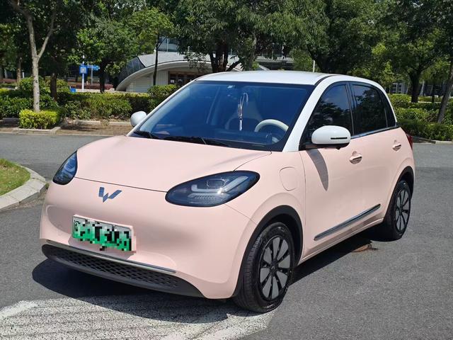 Wuling Bingguo 2024 Model 333KM Yuexiang Model