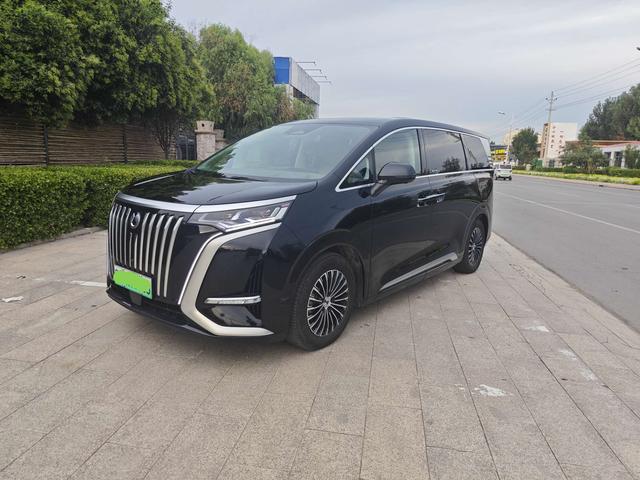 Tengsten D9 EV 2022 600 4WD Flagship