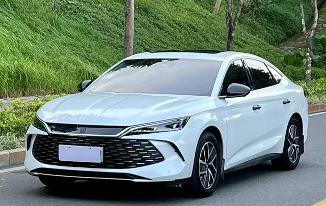 Qin L DM 2024 DM-i 120KM transcendent Type