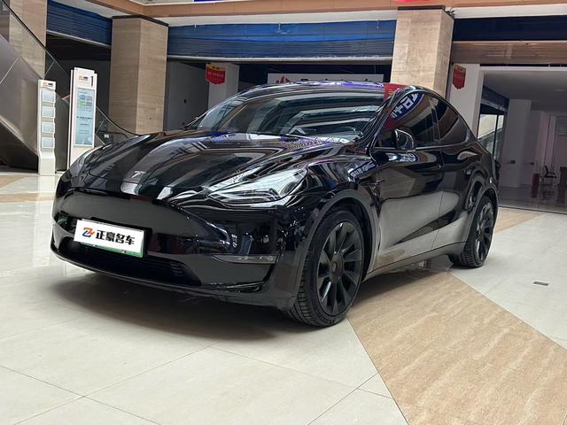 Model Y 2021 Standard Range Rear-Wheel Drive
