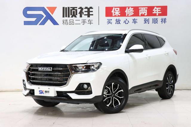 Haval H6 2021 National Tide Edition 1.5T Auto City Edition