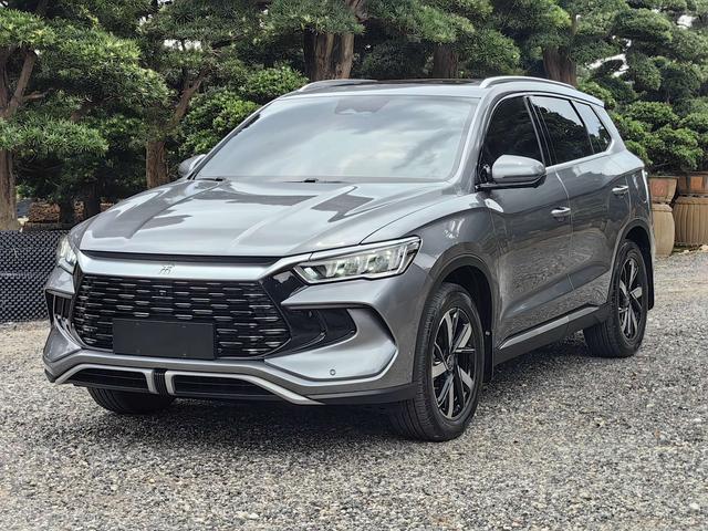 Song Pro DM 2023 DM-i Champion Edition 110km Transcendent Type