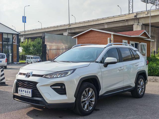 Weilanda 2024 2.0L two-wheel drive leading version