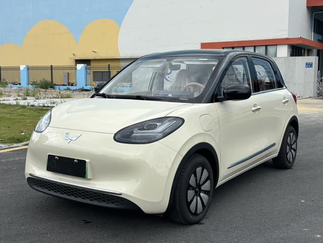 Wuling Bingguo 2025 Model 333KM Yuexiang Model