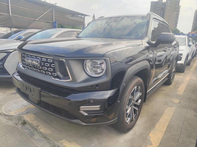 Havoc II Big Dog 2023 1.5T 2WD Tide Wild Plus