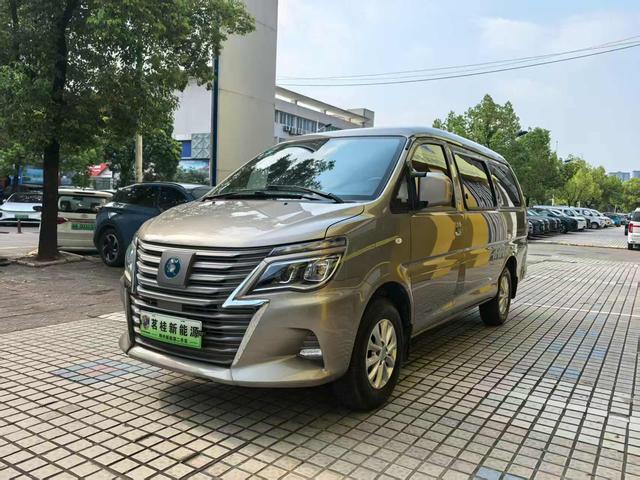 Lingzhi New Energy 2022 Comfortable 7-seater