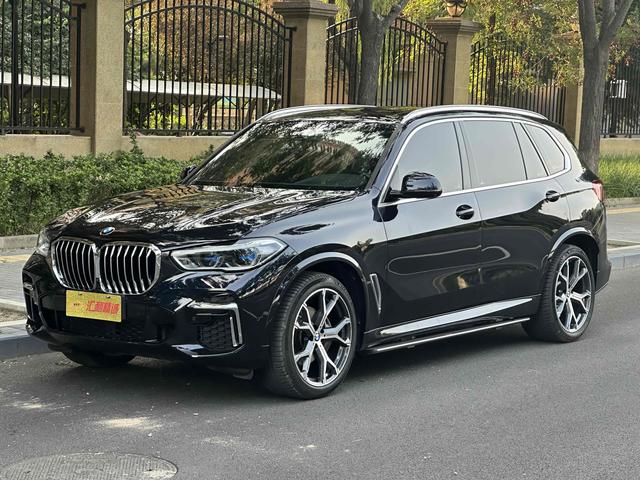 BMW X5 2022 Modified xDrive 40Li M Sport Package