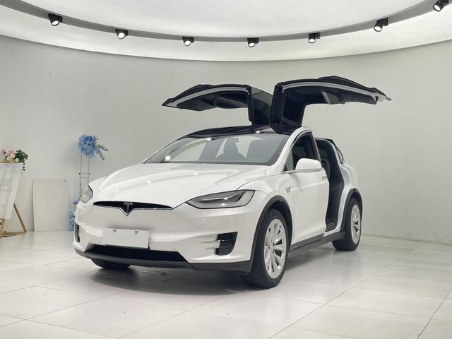Model X 2019 Long Range Edition