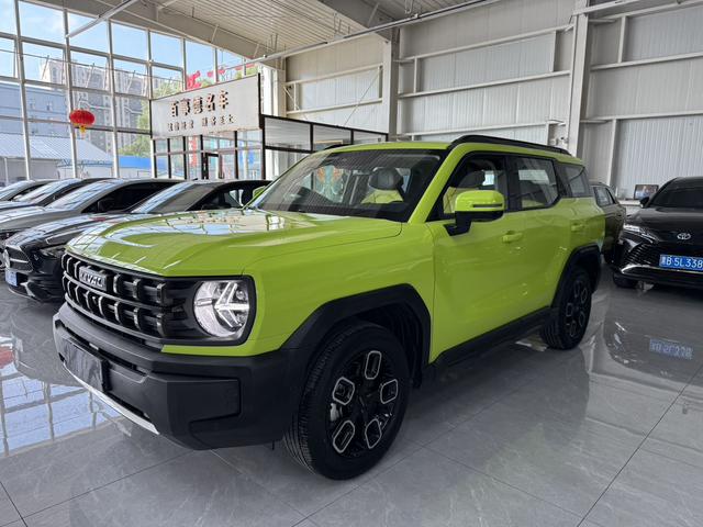 Havoc Cool Dog 2022 1.5T Tide Wild Edition
