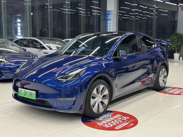 Model Y 2021 Standard Range Rear-Wheel Drive