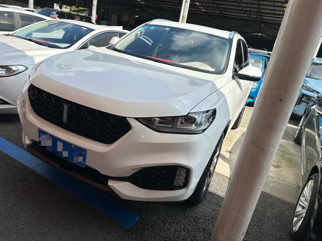 Wei brand VV6 2019 2.0T two-wheel drive super luxury country VI