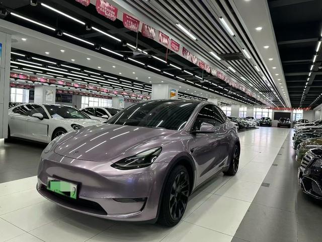 Model Y 2021 Standard Range Rear-Wheel Drive