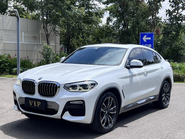 BMW X4 2019 xDrive25i M Crossover Package