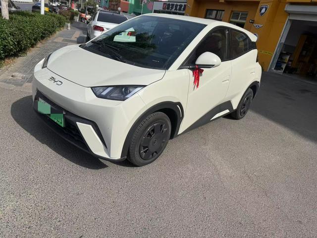 Seagull 2025 305KM Vitality Edition