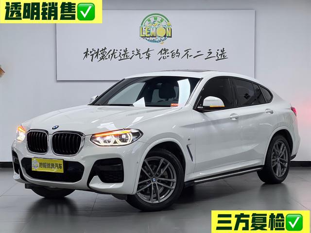 BMW X4 2019 xDrive25i M Sport Package