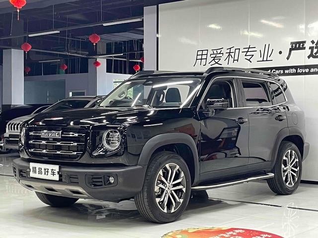 Havoc Big Dog 2021 1.5T 2WD Border Ranch Edition