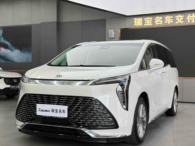 Century 2023 2.0T Six-Seat Embracing World Edition