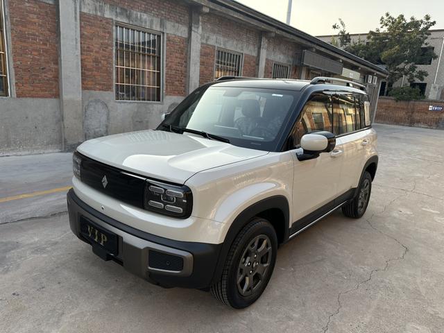 Yueye Plus 2026 301km Ultimate Edition