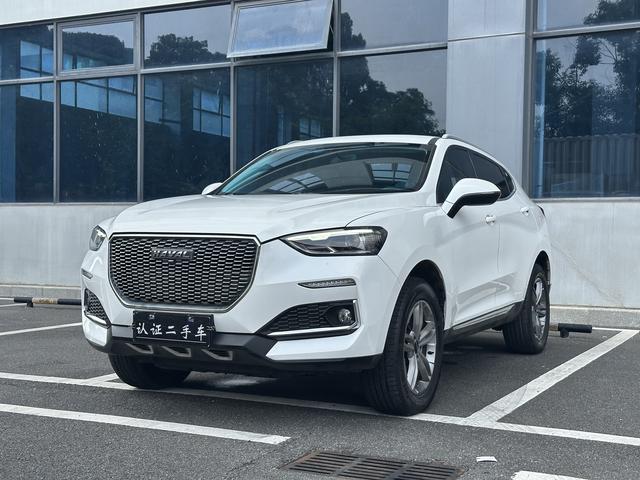 Haval F5 2019 National Tide Edition 1.5T i Cool National VI