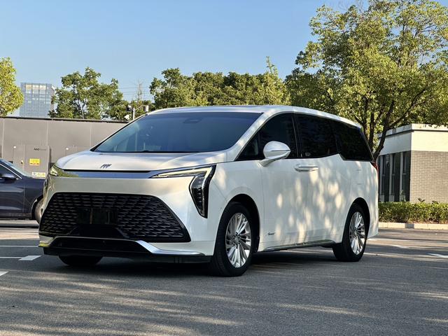 Century 2023 2.0T Six-Seat Embracing World Edition