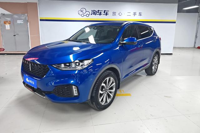 Wei brand VV6 2019 2.0T two-wheel drive super luxury country VI