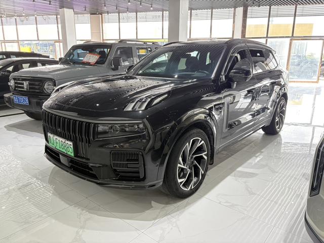 Link 09 EM-P 2021 2.0TD Performance 6-Seat Pro