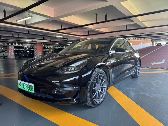 Model 3 2020 Modified Long Range Rear Wheel Drive Edition