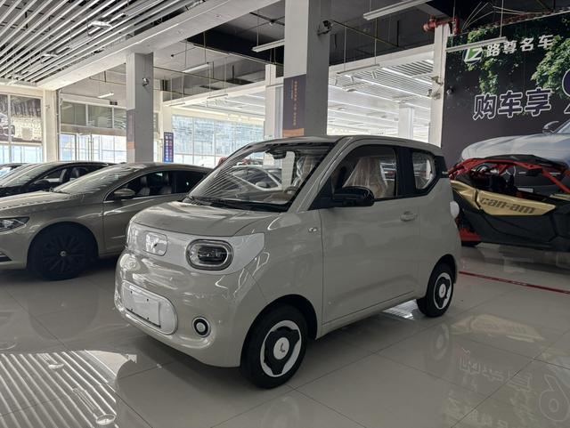 Wuling Hongguang MINIEV 2024 215km Youth Version Lithium Iron Phosphate