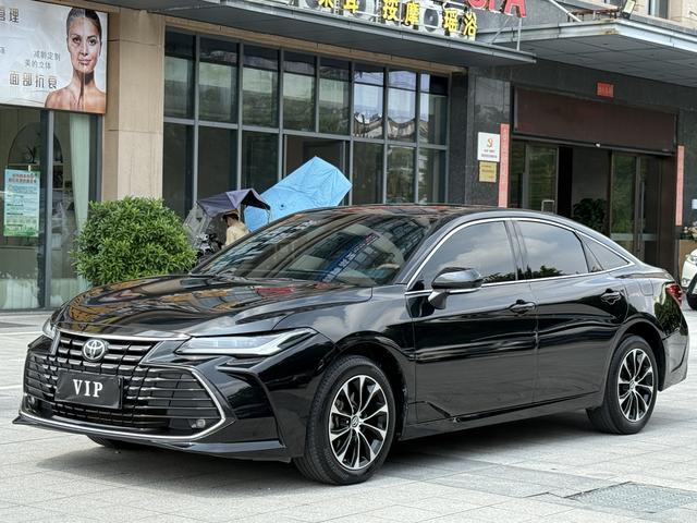 Asiatic Dragon 2022 2.0L Aggressive