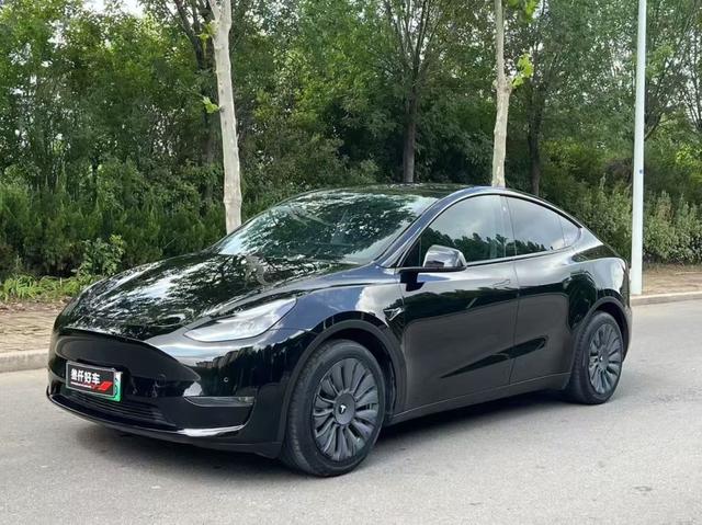 Model Y 2021 Standard Range Rear-Wheel Drive
