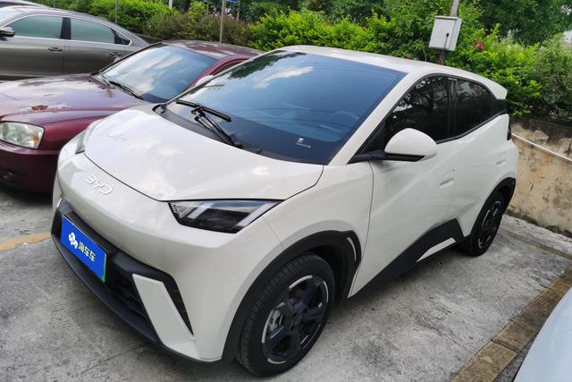 Seagull 2024 Glory Edition 405KM Flying Edition