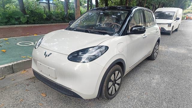 Wuling Bingguo 2025 Model 333KM Yuexiang Model