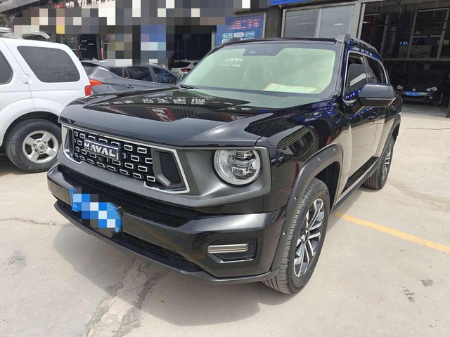 Havoc II Big Dog 2023 2.0T 4WD Tide Wild Plus