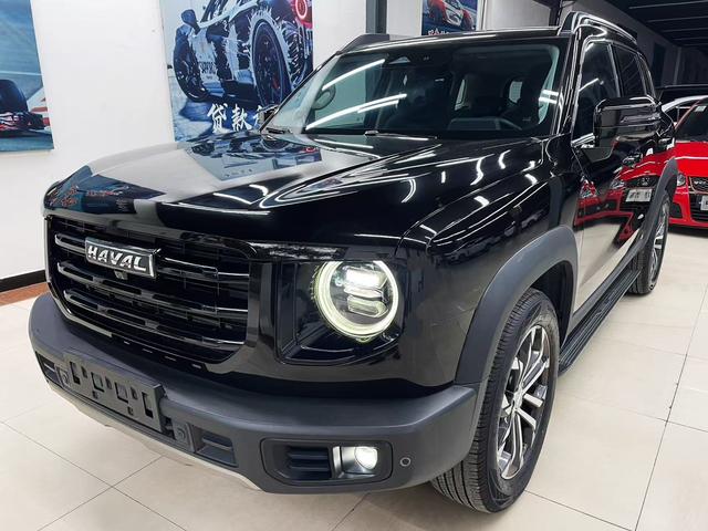 Havoc Big Dog 2021 1.5T 2WD Border Ranch Edition