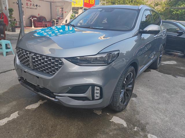 Wei brand VV6 2021 2.0T two-wheel drive smart protection+