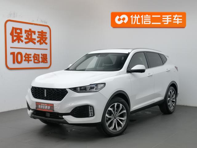 Wei brand VV6 2019 2.0T two-wheel drive super luxury country VI