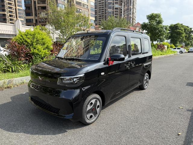 Wuling Zhiguang EV 2025 Aggressive Type
