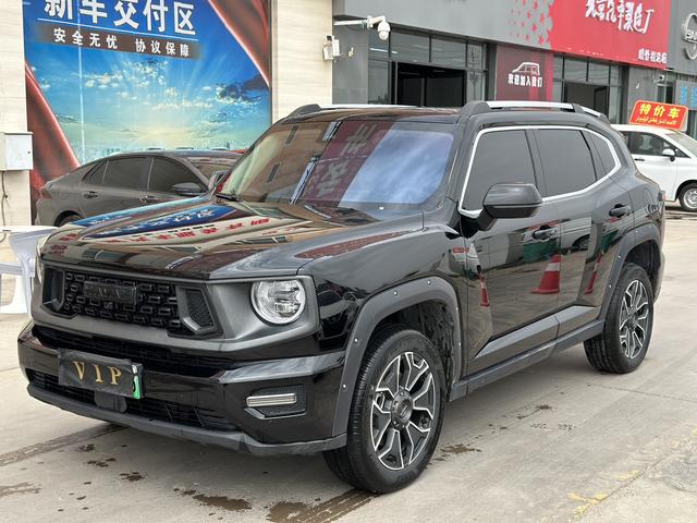 Haval second-generation big dog PHEV 2024 Hi4 102km two-wheel drive tide electric Plus