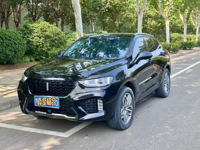 Wei brand VV5 2019 upgraded 2.0T two-wheel drive super luxury national V