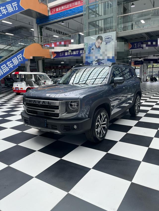 Havoc Big Dog 2024 1.5T 2WD Border Ranch Edition