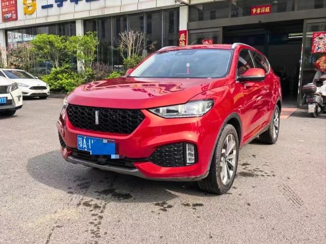Wei brand VV6 2018 2.0T two-wheel drive super luxury national V