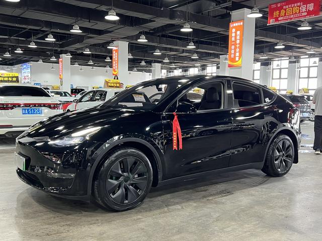 Model Y 2024 long battery life all-wheel drive version