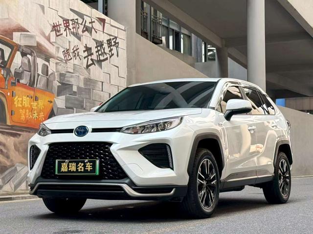 Weilanda PHEV 2021 2.5L two-wheel drive engine version