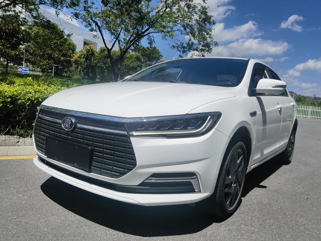 Qin EV 2020 High Range Premium Model