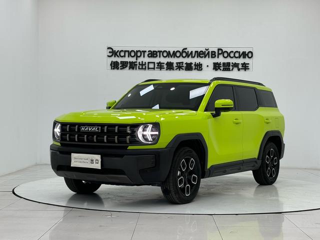 Havoc Cool Dog 2022 1.5T Tide Wild Edition